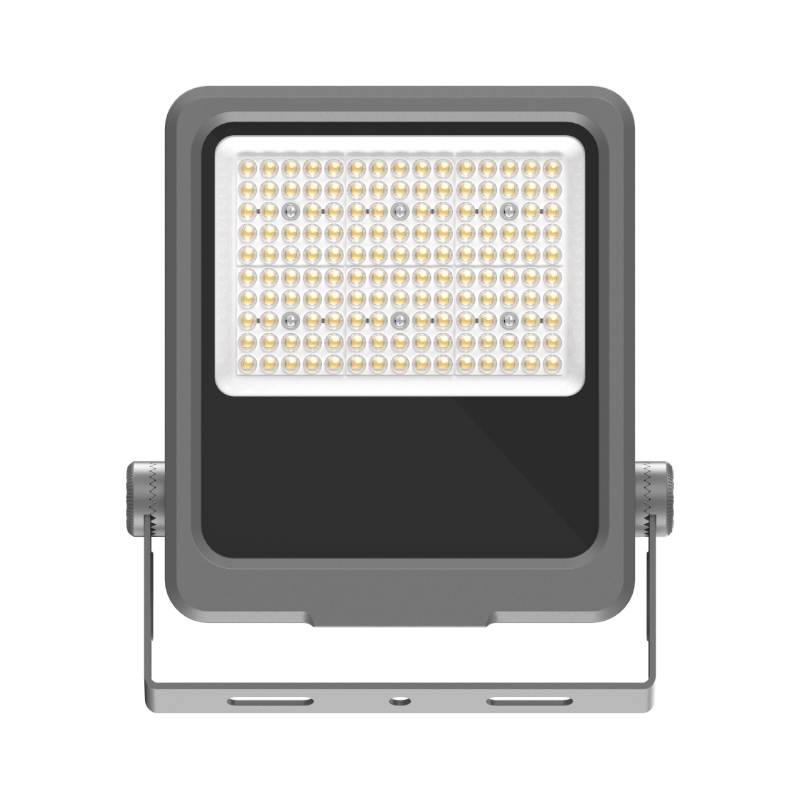 LSBY-DFTGD-100W-正面